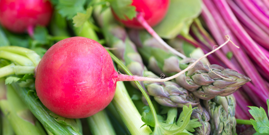 Légumes de la saison printanière, radis, asperge, bettes
