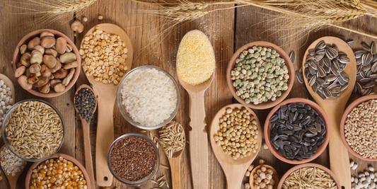 Image de différents types de céréales
