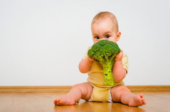 Bébé qui mange du brocolis pour introduction des légumes à son régime alimentaire